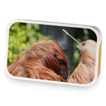 The Murders in the Rue Morgue sample blend