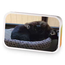 Relm and Yuna sample blend