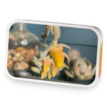 Peachy keen sample blend