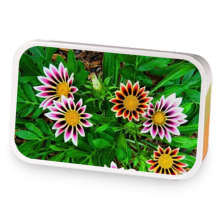 kayla 5 sample blend