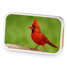 kayla 7 sample blend