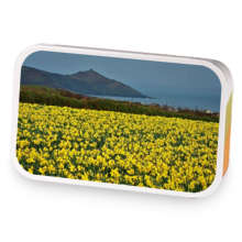 kayla 8 sample blend