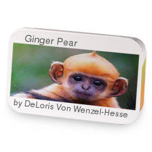 Ginger Pear sample blend