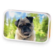 Frankie Goes to Lake Agnes  sample blend