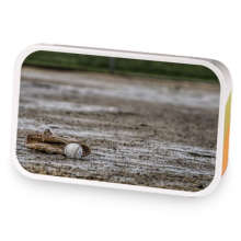 Rain Delay sample blend