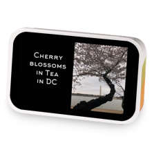 Cherry Blossoms in DC sample blend