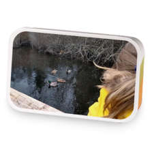 Sweet as Strawberry sample blend