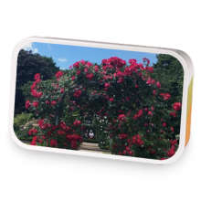 Garden Stroll sample blend