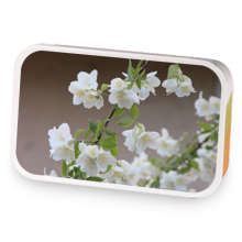 Creamy Breakfast sample blend