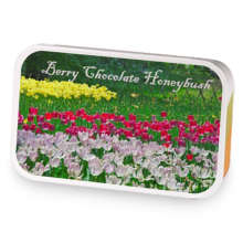 Berry chocolate honeybush sample blend