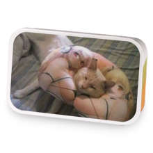 barbieglittergirl sample blend