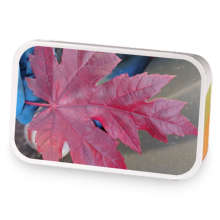 lavender earl grey and rose  sample blend