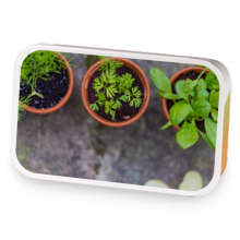 Apollos Good Health sample blend