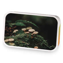 Earthy Earl Grey Green Blend sample blend