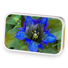 Gentian Moon sample blend