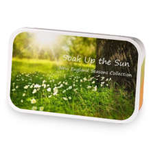 Soak Up The Sun sample blend