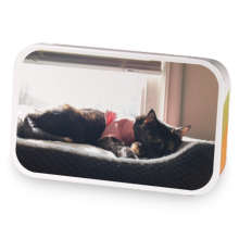 Decaf Orange Creamsicle sample blend