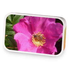 White Rose sample blend