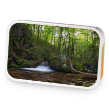 Forest Glade sample blend