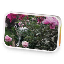 Caramel Creme sample blend