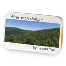 Afternoon delight sample blend