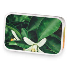 Orange Blossom sample blend