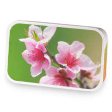 Taylers Blend sample blend