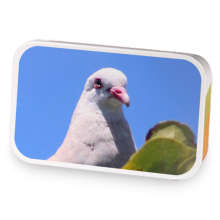 vanilla lavender earl gray  sample blend