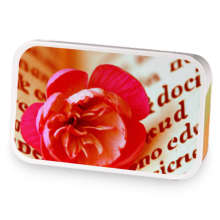 Rooibos Serenade sample blend