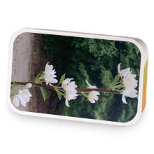 Crabapple Trees sample blend