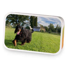 Tegaroonie sample blend