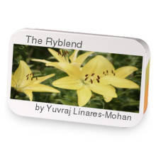 The Ryblend sample blend