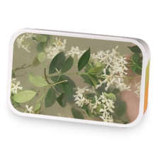 Peppermint Green Tea sample blend