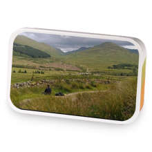 You Take The Lo Road sample blend