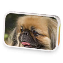 Palace Pekingese Oolong sample blend