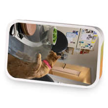 Blackberry Chamomile Nocturne sample blend