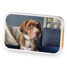 Millie Mix sample blend