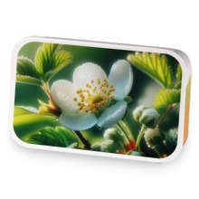 Berryblossom White Attempt 1 sample blend