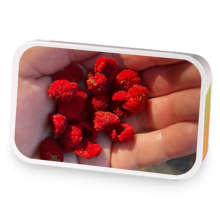 Rowan's Chocolate Raspberry sample blend