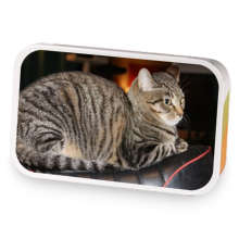 Temples Littlest Rebel sample blend