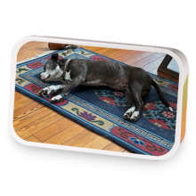 Mardi Gras Recovery sample blend