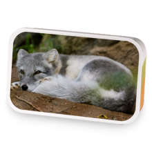 Chilling out sample blend