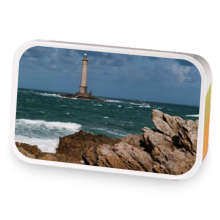 Zinnia Tytalis sample blend