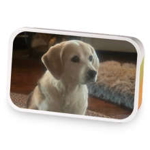 Lulus’ Love sample blend