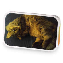 The Queen sample blend