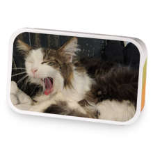 The Floof sample blend