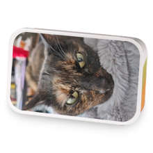 The Tiny sample blend