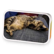 The Chonk sample blend