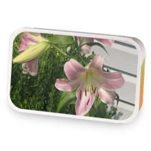 Bangkok Night Creme Orange sample blend