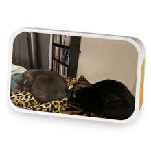 Catnap catnip sample blend